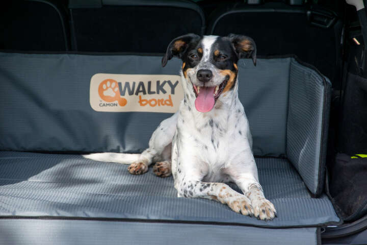 dobar Kofferraumschondecke XXL